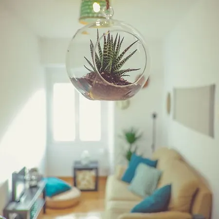 Apartment Flat Sintra